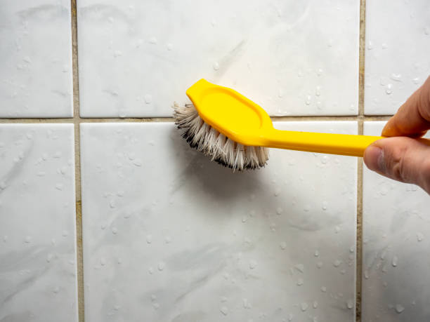Best Localized Mold Remediation (e.g., coastal areas, humid climates) in Blue Island, IL