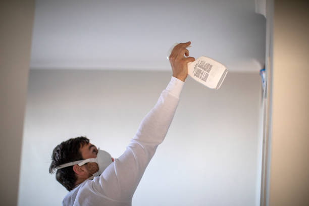 Best Post-Flood Mold Remediation in Blue Island, IL